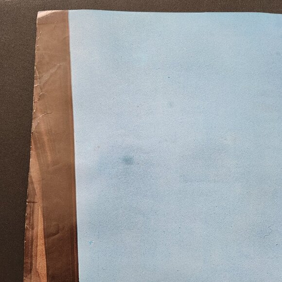 Rare Vintage Braniff Travel Poster for Federal Republic of Germany - Picture 3 of 10